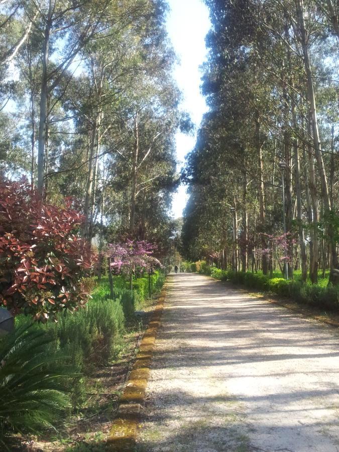 Il Nibbio Reale Country House Rocca d'Evandro Eksteriør billede