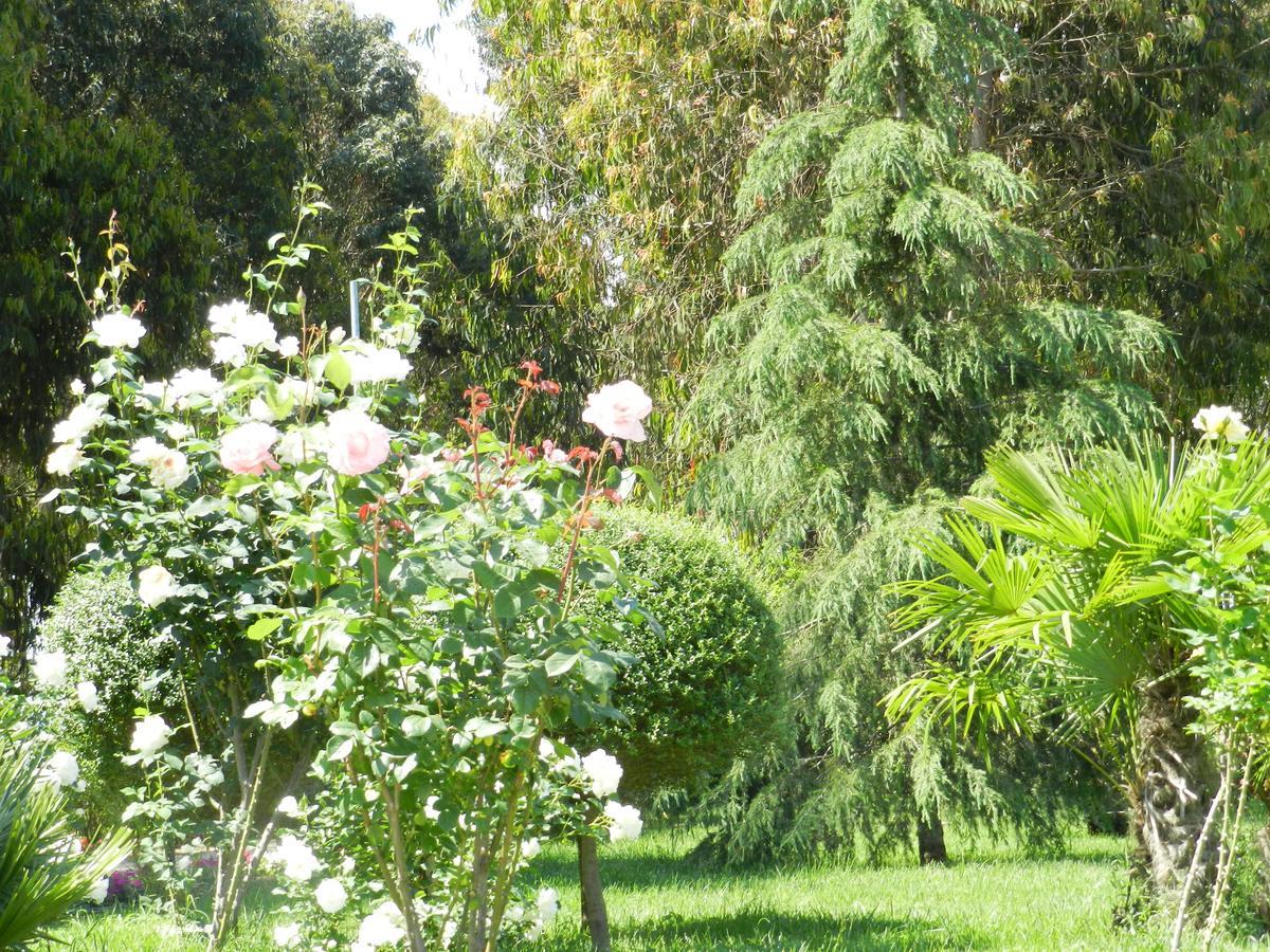 Il Nibbio Reale Country House Rocca d'Evandro Eksteriør billede